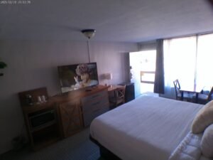 Beautiful King and Double-Queen Rooms