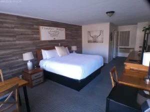 Beautiful King and Double-Queen Rooms